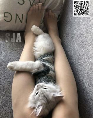 5g影视天天5g天天爽免费视频_免费观看