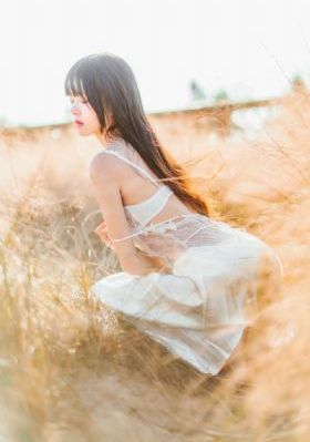 神马电影手机免费看_DVD在线观看视频