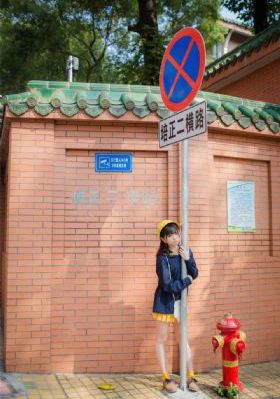 雪豹坚强岁月剧情介绍_国产剧免费在线播放