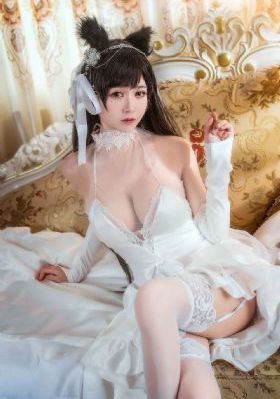 电视剧我是刑警全集在线观看_在线视频免费观看